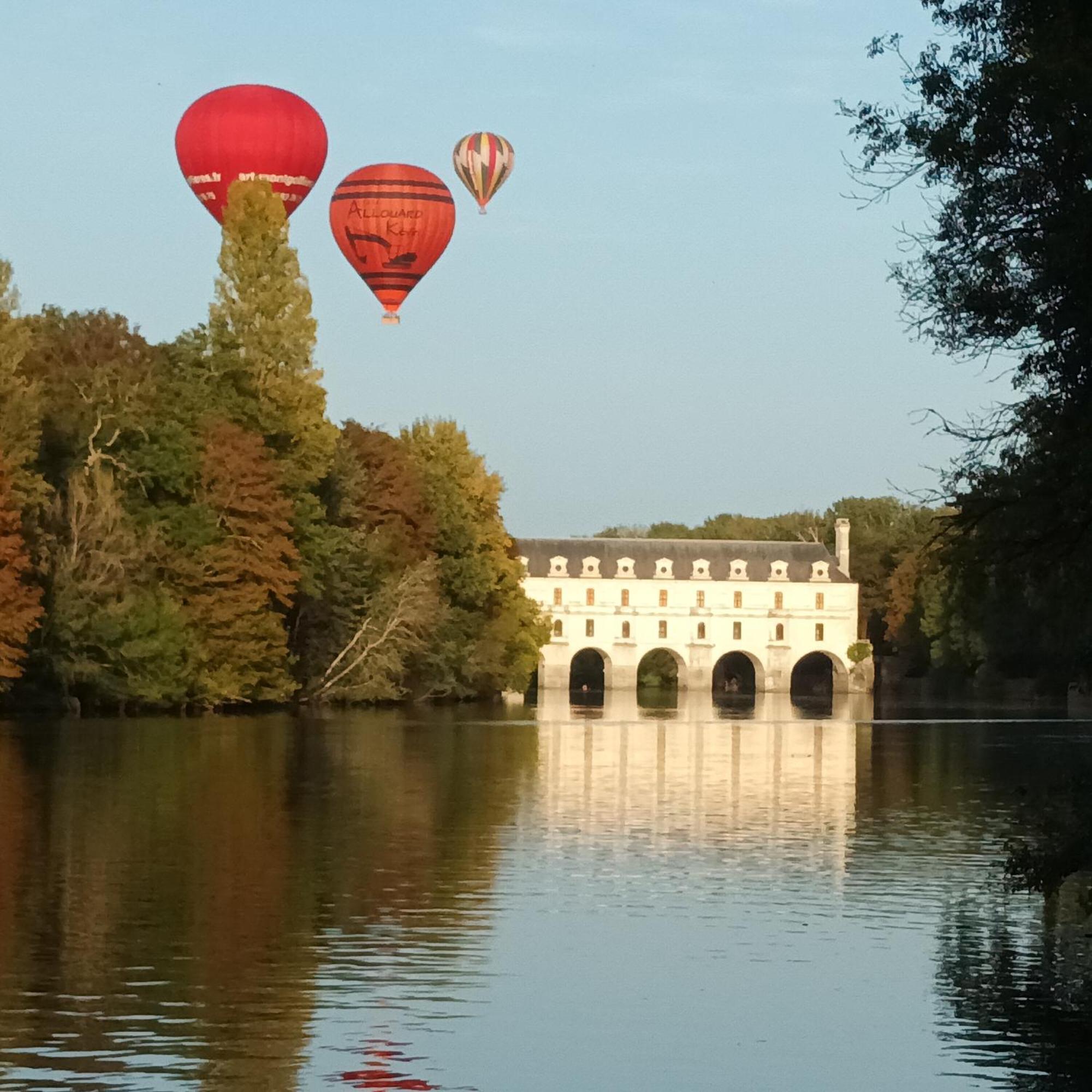 Au Nom Des Dames, Maison Et Table D'Hotes, Pres De Chenonceau Et Du Zoo De Beauval Faverolles-sur-Cher Экстерьер фото
