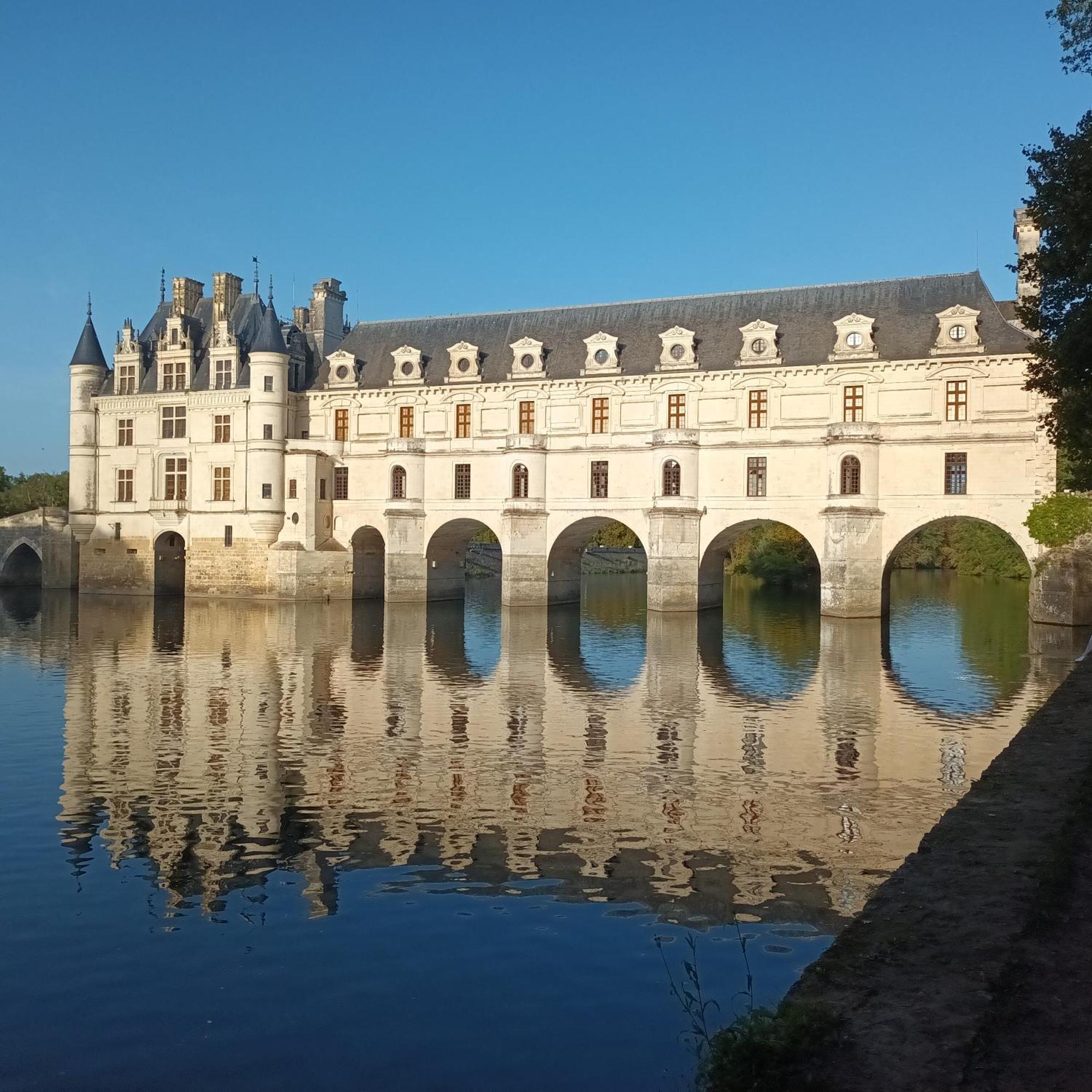 Au Nom Des Dames, Maison Et Table D'Hotes, Pres De Chenonceau Et Du Zoo De Beauval Faverolles-sur-Cher Экстерьер фото